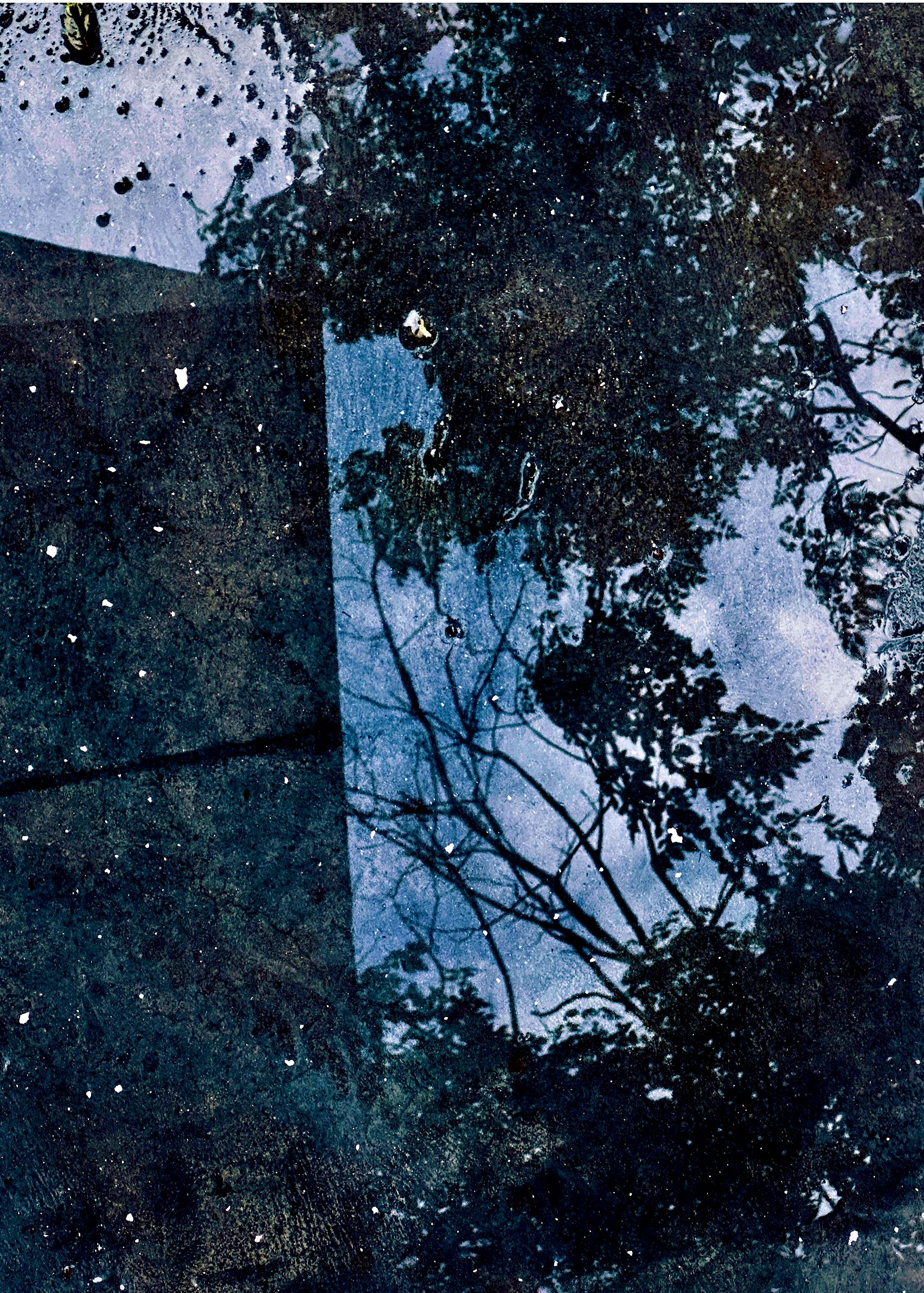 Moody reflections in water with tree branches - nature reflection photography