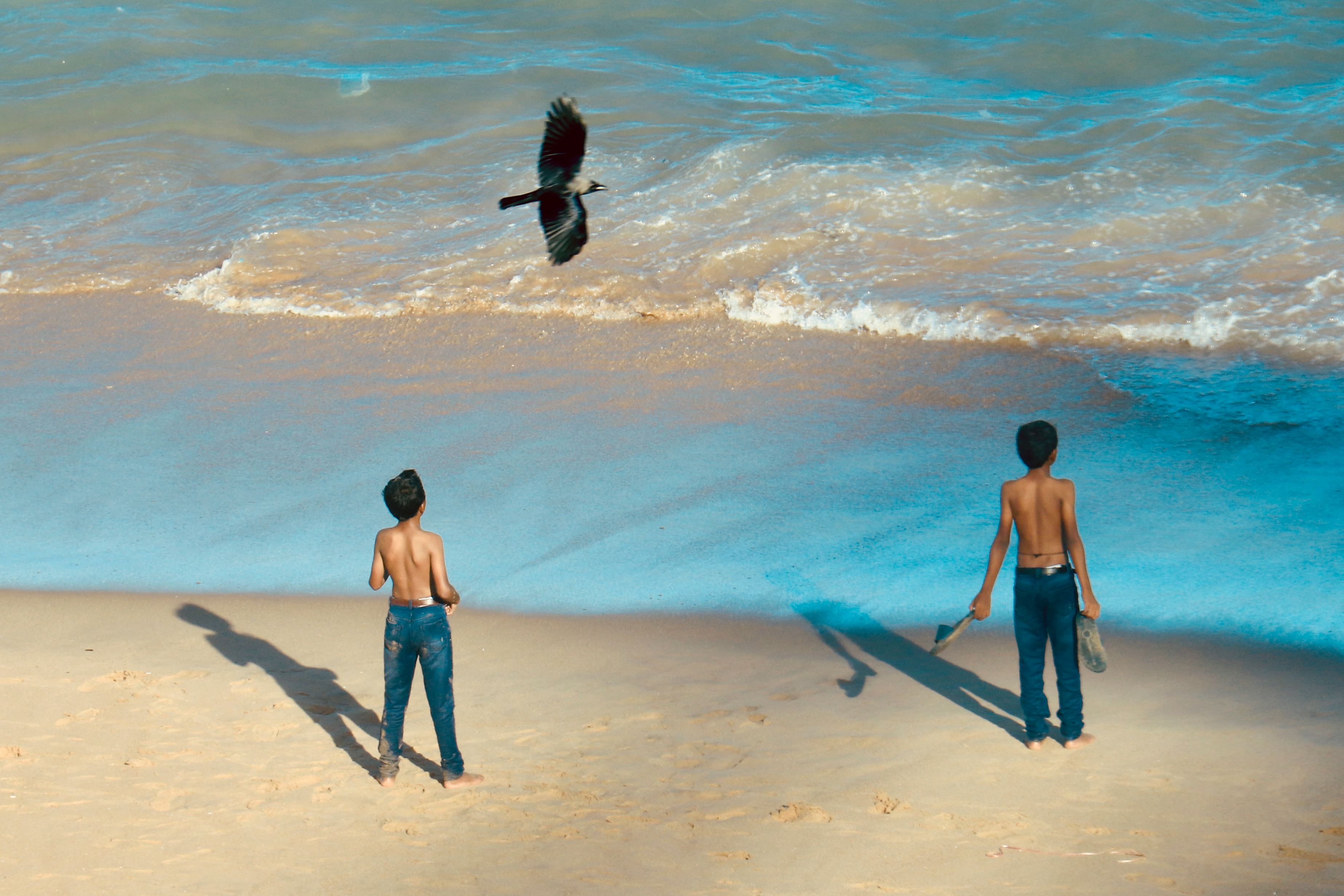 Two boys on beach watching bird fly over waves with long shadows - childhood wonder at the seaside